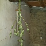 Operazione_Lampo_Città_di_Castello_3