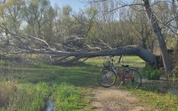 04_Pista-interrotta_01-04-2015