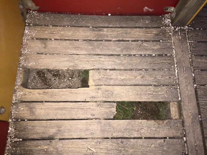 12734055_10208788862624599_154972411304076549_n