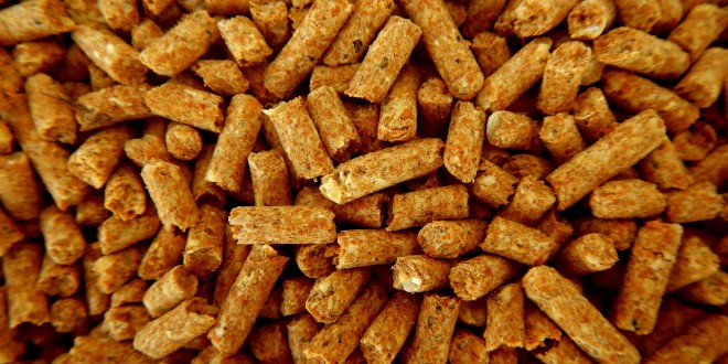Riscaldamento domestico: guida alla scelta delle marche di stufe a pellet migliori