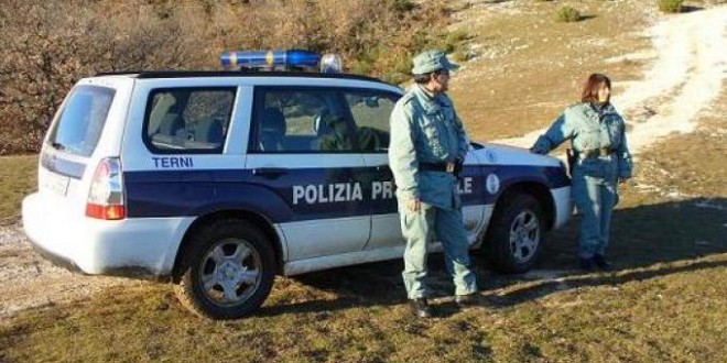 Auto investe due cervi, 50enne finisce in ospedale