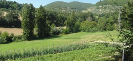 Biodiversità, in Umbria oltre cento siti naturali che proteggono altrettante specie