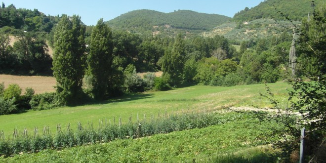 Biodiversità, in Umbria oltre cento siti naturali che proteggono altrettante specie