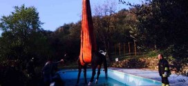 Cavallo cade in una piscina: recuperato dai pompieri