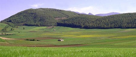 Patata di Colfiorito, prosegue l’iter per l’Igp