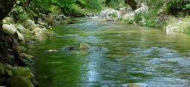 Torrente Genna, verrà realizzata una stazione di monitoraggio delle acque