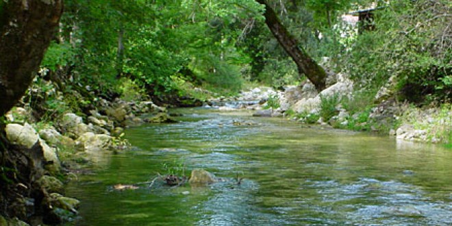 Pesca, consiglio provinciale approva modifiche per zone a regolamento specifico