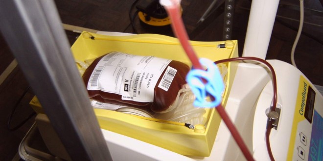 Donazioni di sangue: la solidarietà dei perugini