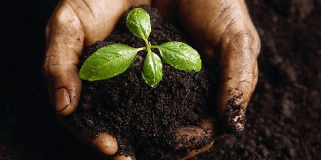 Puntare su Ambiente, Etica e Sostenibilità. Oliviero Dottorini tira in ballo l’Europa per sostenere le sue storiche battaglie