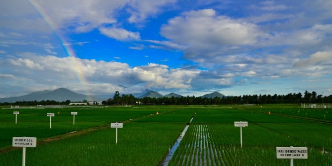 Grazie alla green economy 100 mila posti in agricoltura. Parola di Coldiretti