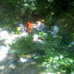 Discarica abusiva a Cannara - Via destra Topino (posto 2)