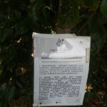 Discarica abusiva a Cannara - Via destra Topino (posto 2)