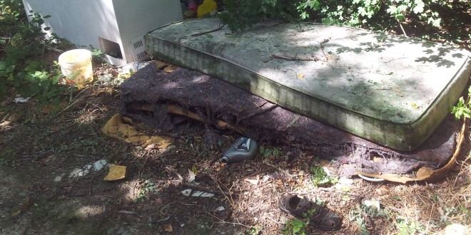 Rifiuti a Cannara: discariche abusive in via destra Topino