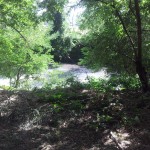 Discarica abusiva a Cannara - Via destra Topino (posto 2)