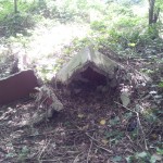 Discarica abusiva a Cannara - Via destra Topino (posto 2)