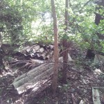 Discarica abusiva a Cannara - Via destra Topino (posto 2)