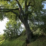 Intervento VVFF San Marco Ph Perugia Online-5