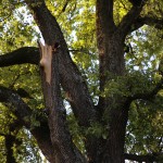 Intervento VVFF San Marco Ph Perugia Online-6