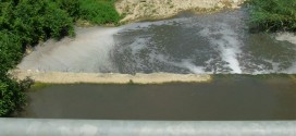 Liquidi inquinanti smaltiti illecitamente nel fiume Nestore