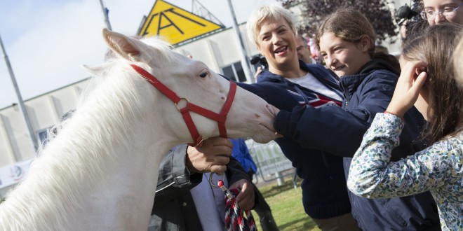 Bagno di folla per “Via Lattea” alla 48ª Mostra Del Cavallo di Città Di Castello