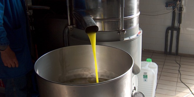 Olio per lampade spacciato per extravergine d’oliva: agricoltore toscano nei guai