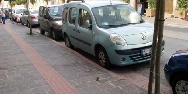 Santa Maria degli Angeli, topi a spasso per la città