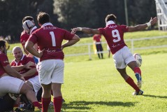 Barton Accademia Michel in azione_Capecchi (1)