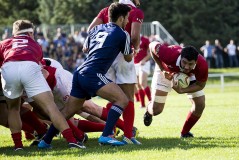 Barton Accademia mischia_Capecchi