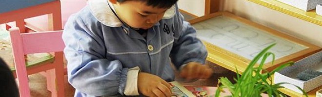 Montessori, Pd e Socialisti: “La Giunta si impegni a tutelare la scuola”