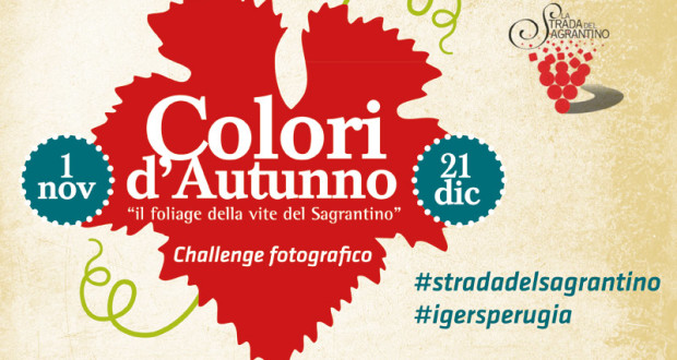 ‘Colori d’autunno, il foliage della vite del Sagrantino’ per appassionati di fotografia e vino