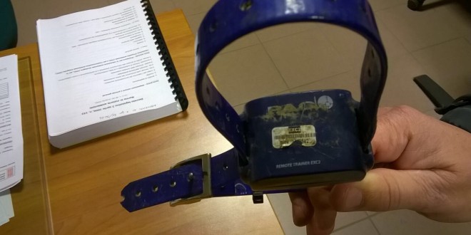 Cacciatore denunciato per maltrattamento del proprio cane