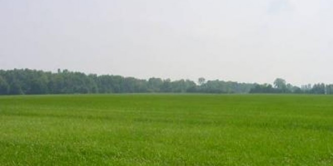 Imu sui terreni agricoli, Confagricoltura Umbria: “atto di inaudita gravità”