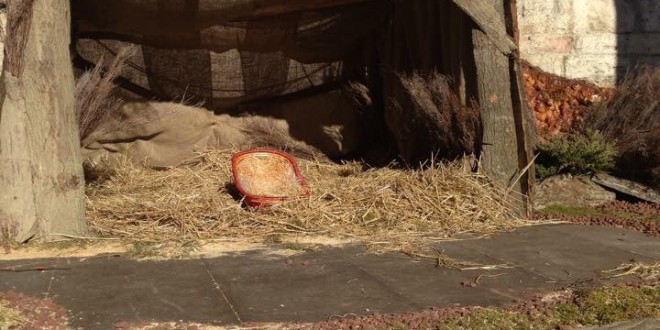 Piazza IV Novembre, nuovo furto al Bambinello. Il presepe disallestito con un giorno d’anticipo