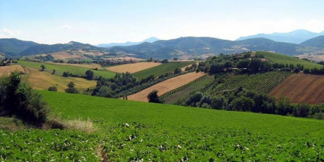 Imu agricola, domani il Tar esaminerà la sospensiva