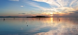 Lago Trasimeno, posticipato di due settimane il divieto di pesca alla tinca