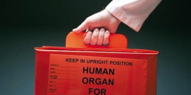 Donazioni di organi agli ospedali di Foligno e Perugia: interventi riusciti, pazienti in buone condizioni