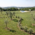 Giardino mediterraneo colli di Todi