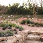 Giardino mediterraneo colli di Todi