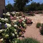 Giardino mediterraneo colli di Todi