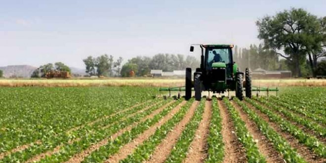 Imu agricola, il consiglio regionale: “Rivedere il decreto”