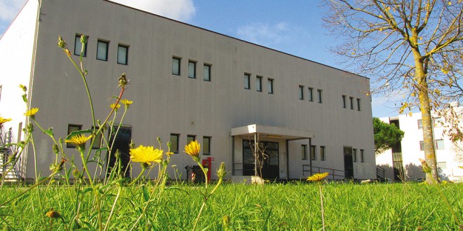 Gioco d’azzardo patologico, sempre più minori nella rete