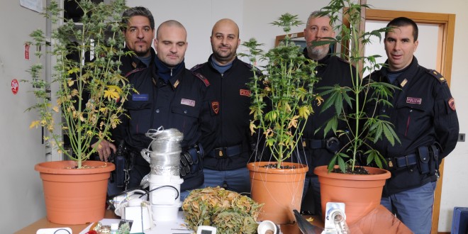 Una serra in camera da letto per coltivare la marijuana, arrestato un ventenne