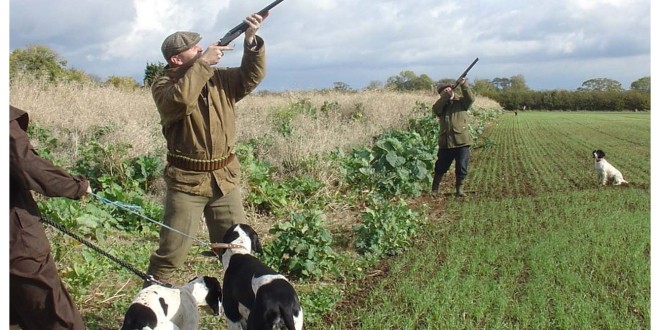 Calendario venatorio approvato: cambiano le date per l’addestramento dei cani