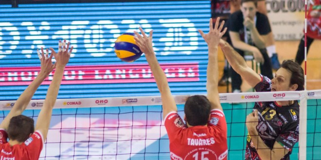 La Sir batte il Piacenza 3-0. Avanti così verso la Champions