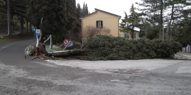 Maltempo, un milione di euro di danni causati dal forte vento