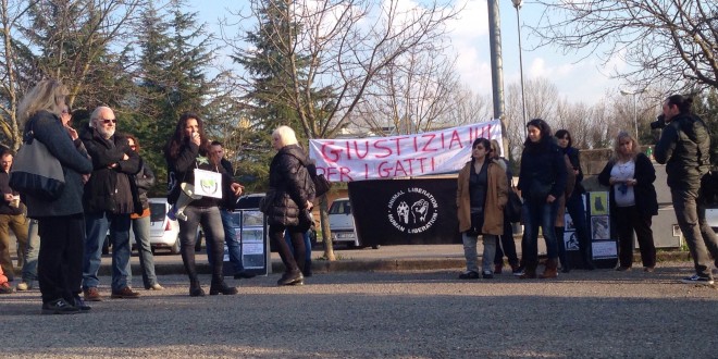San Sisto, presidio contro il torturatore di gatti: “Si faccia giustizia”