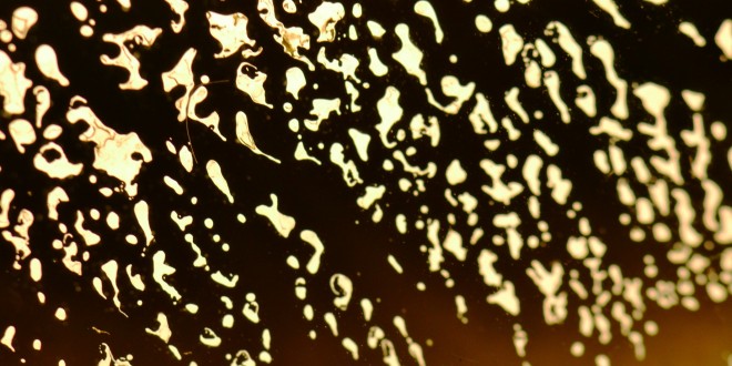 Segnali 2015, tutto il programma della 5° edizione