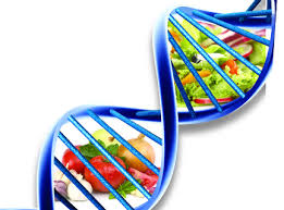 L’importanza di una corretta nutrizione