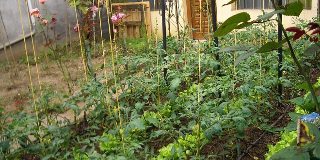 Ortobello, un’oasi di verde e bellezza nel cuore di Perugia