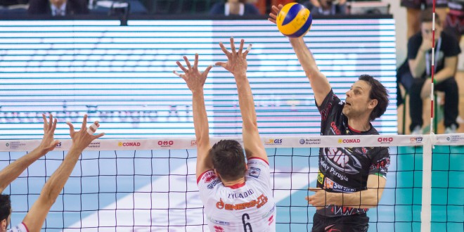 Volley, stasera la Sir Safety Perugia sfida Trento per un posto nella finale scudetto
